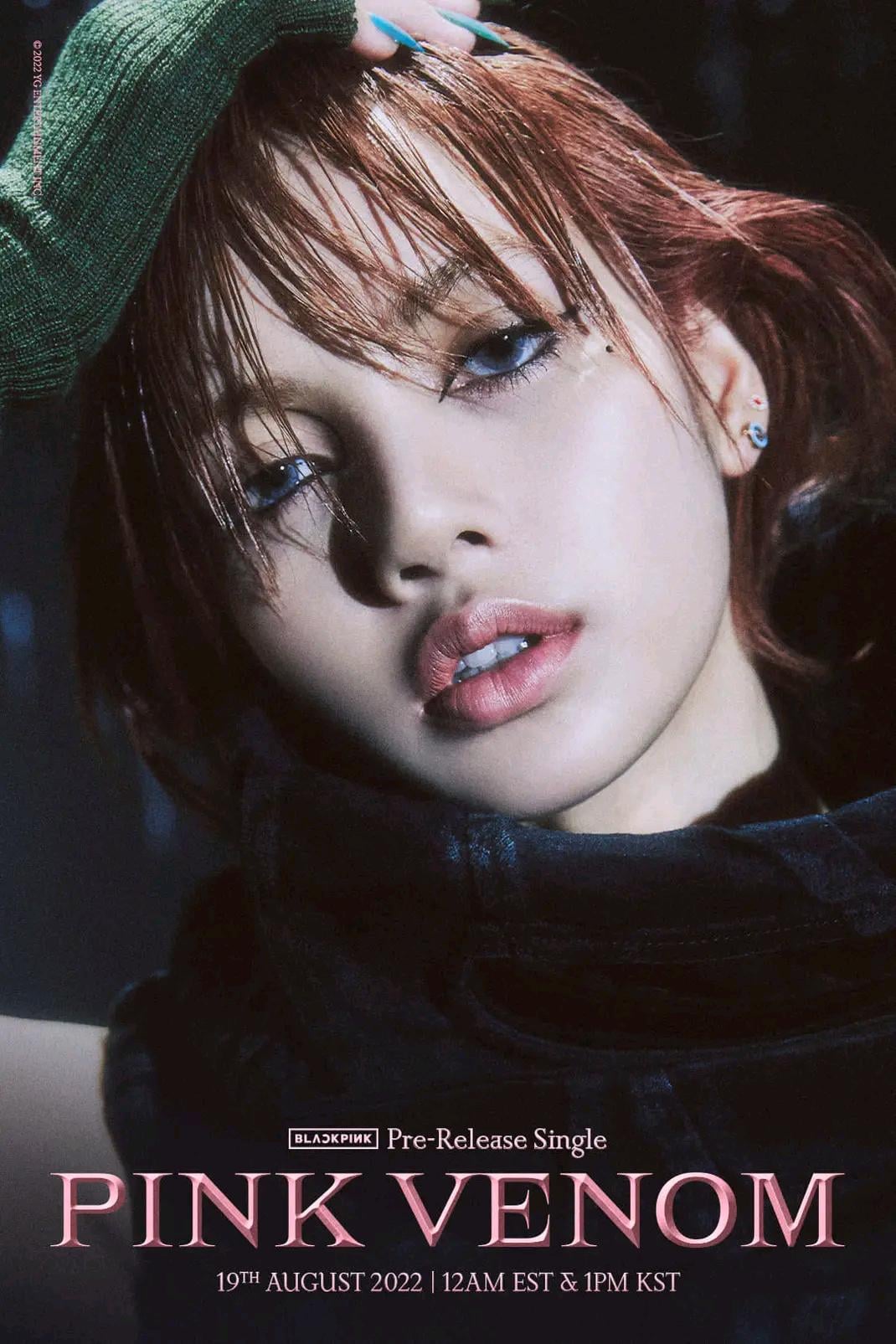 Lisa Manoban Pink Venom poster