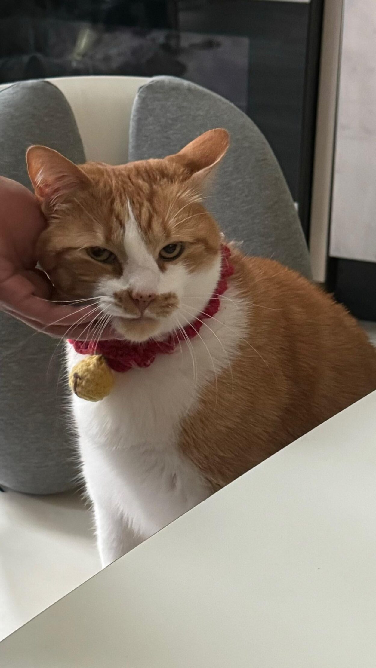 240501 Lisa IG Story Update