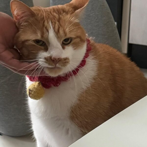 240501 Lisa IG Story Update