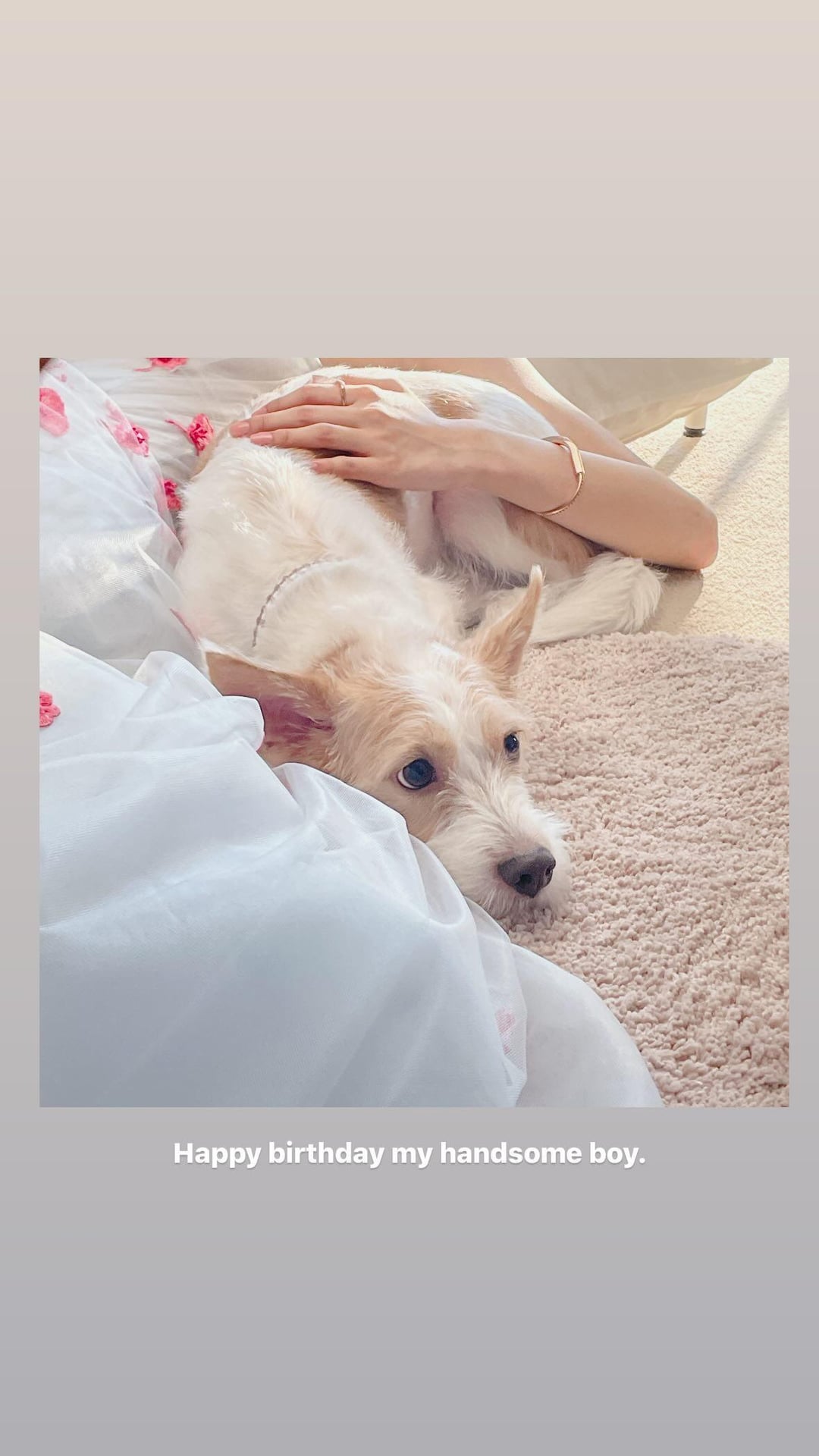 240505 Rosé IG Story Update