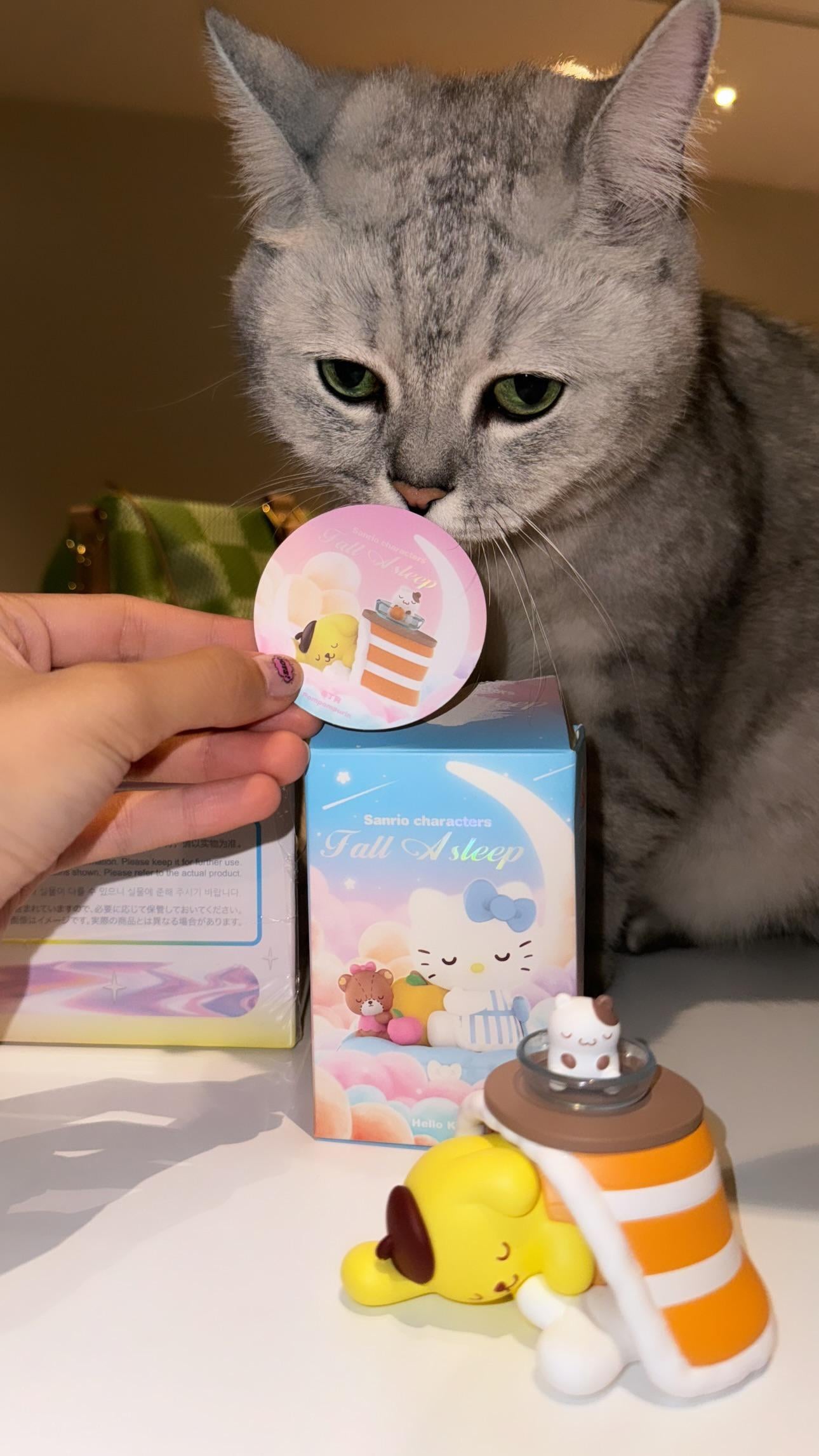 240508 Lisa IG Story Update