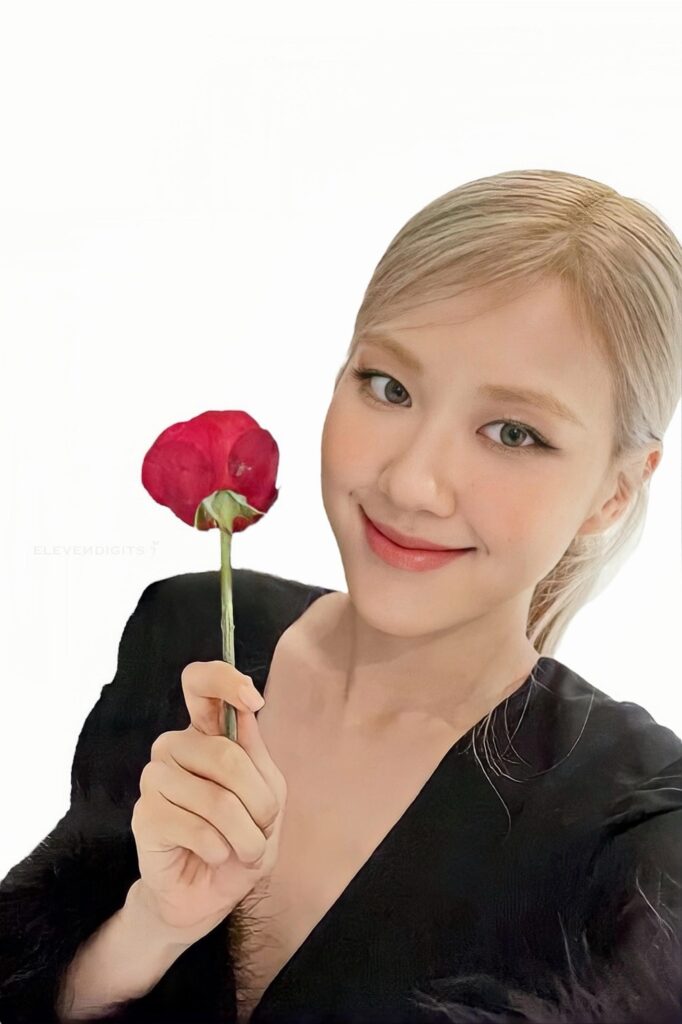 Rosé