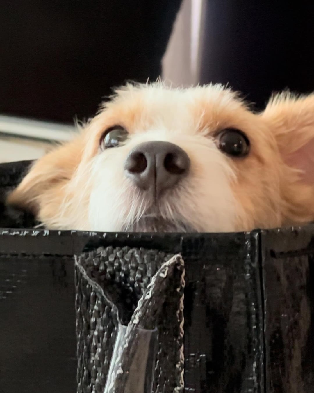 240505 hank_says_hank IG Update