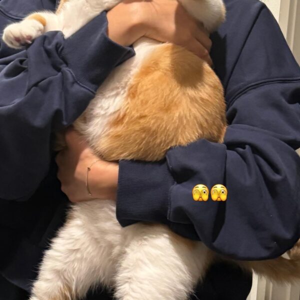 240501 Lisa IG Story Update