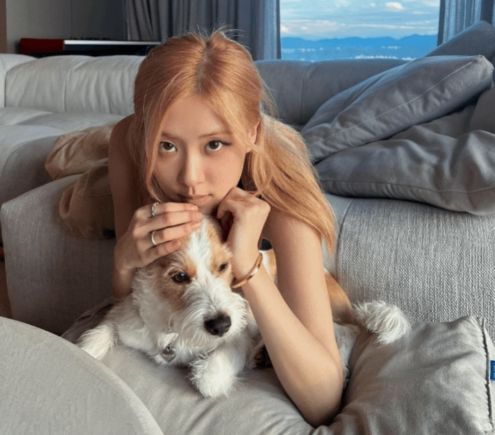 Rose with pets! 😊