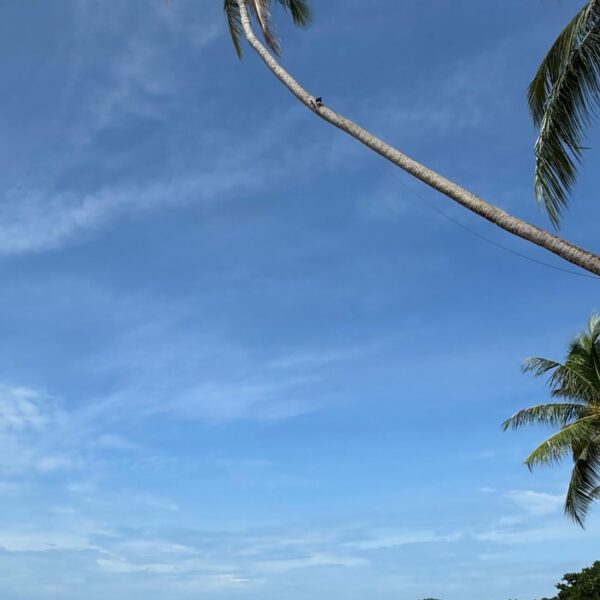 240604 Lisa IG Story Update