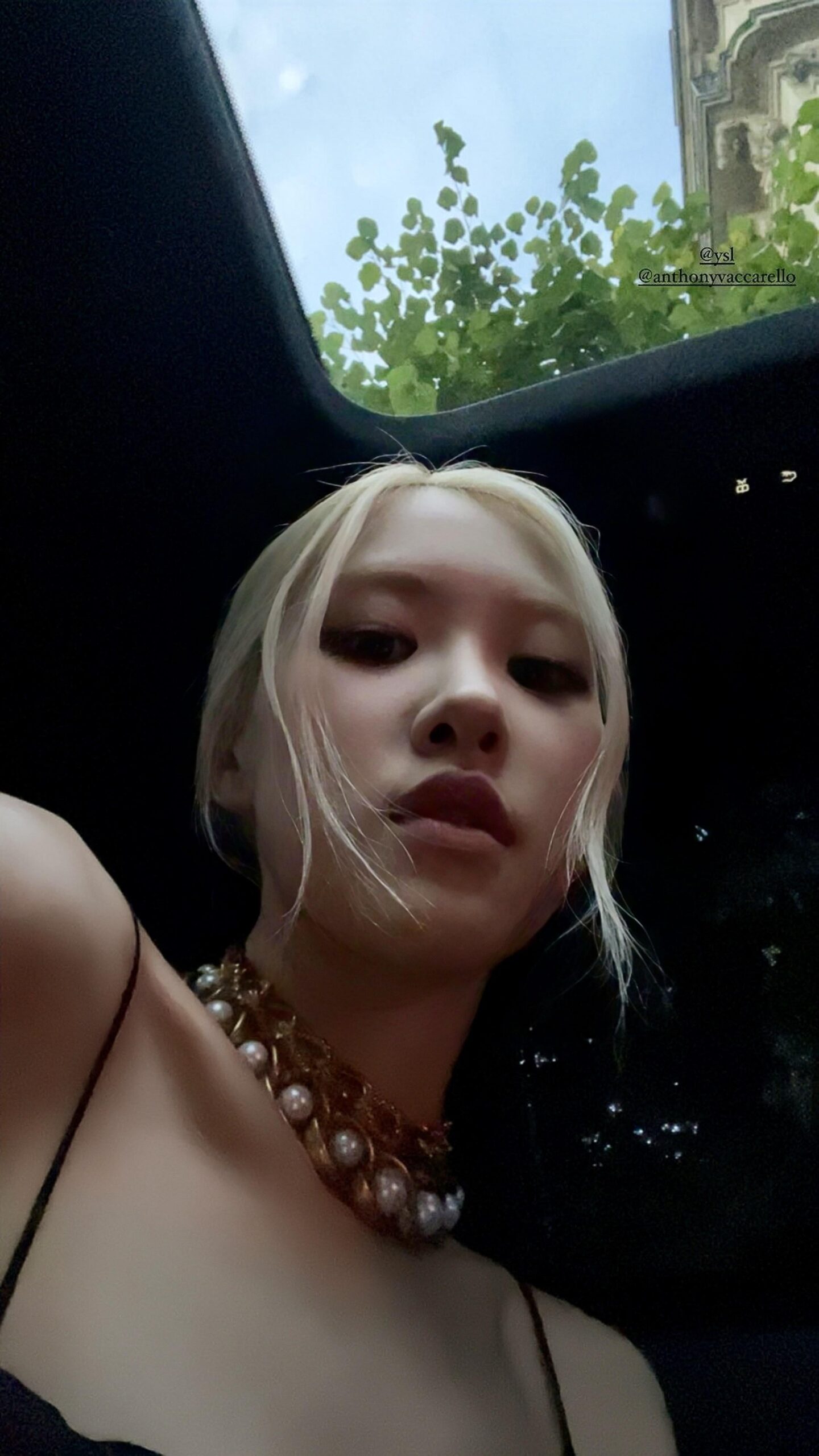 Rosé