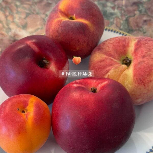 240624 Jisoo IG Story Update