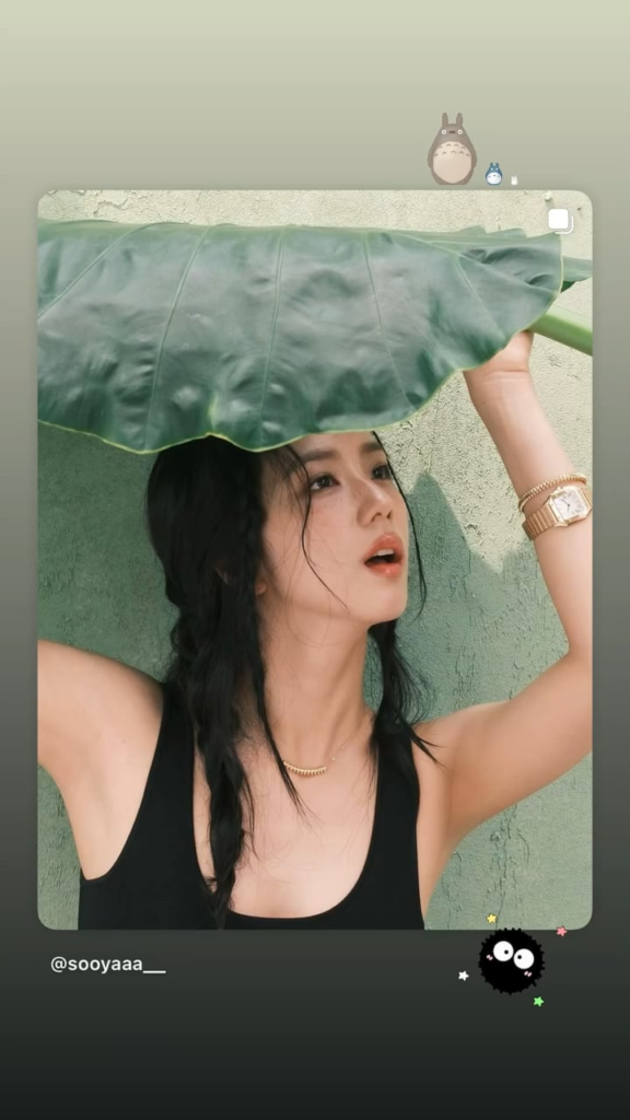 250630 Jisoo IG Story Update