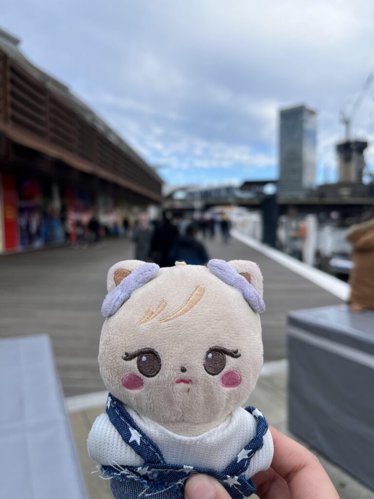 250731 Has anyone put on Labubu clothes on the character dolls?