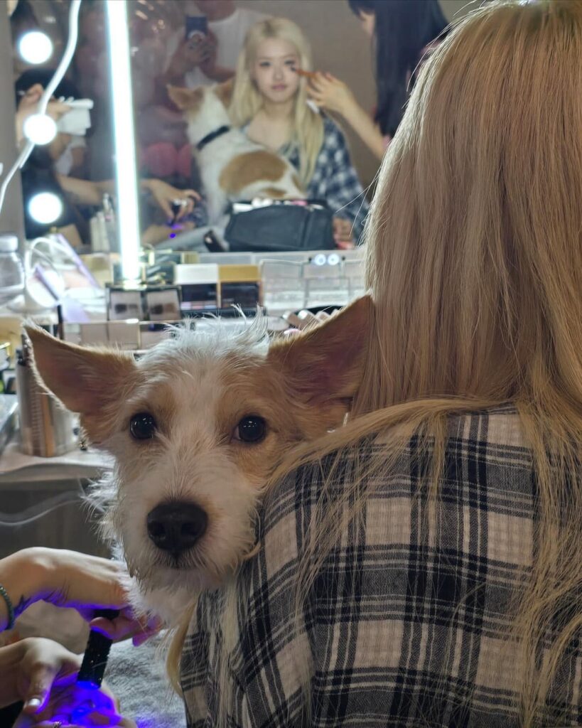 250718 hank_says_hank IG Update w/ Rosé