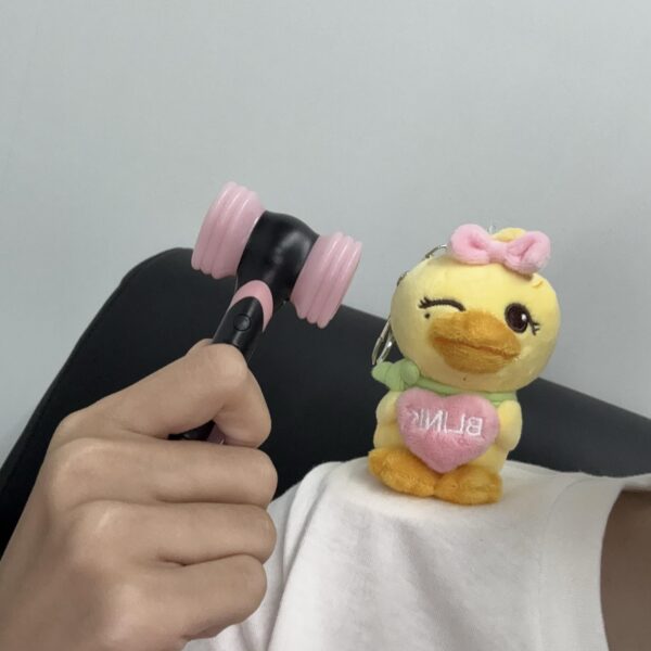 250704 Lisa Bubble Update