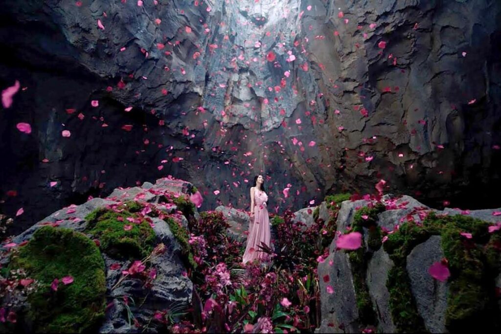 250812 The Straits Times: Blackpink star Jisoo filmed new music video in Rainforest Wild Asia and Singapore Zoo