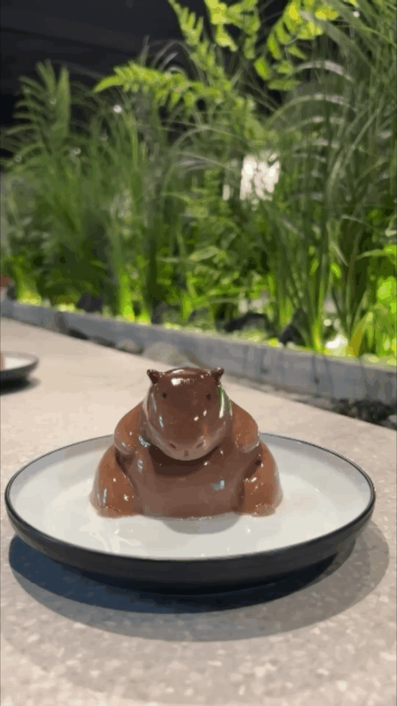 Capybara pudding dessert from Japan