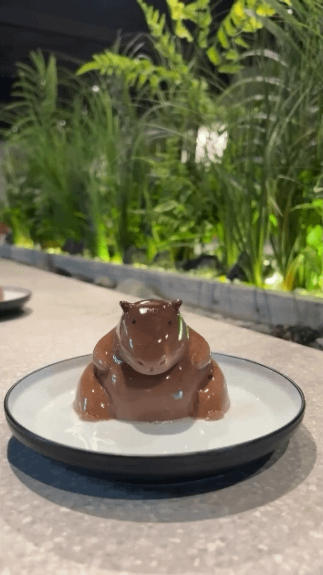 Capybara pudding dessert from Japan