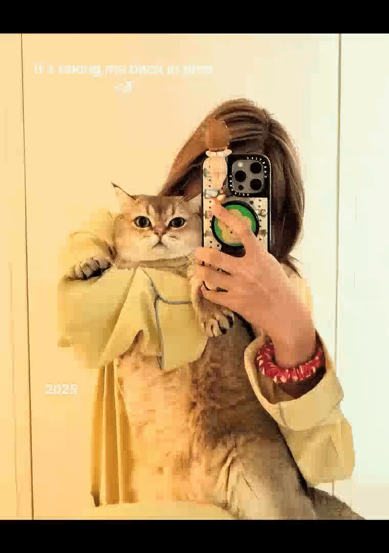 Lisa TikTok Update