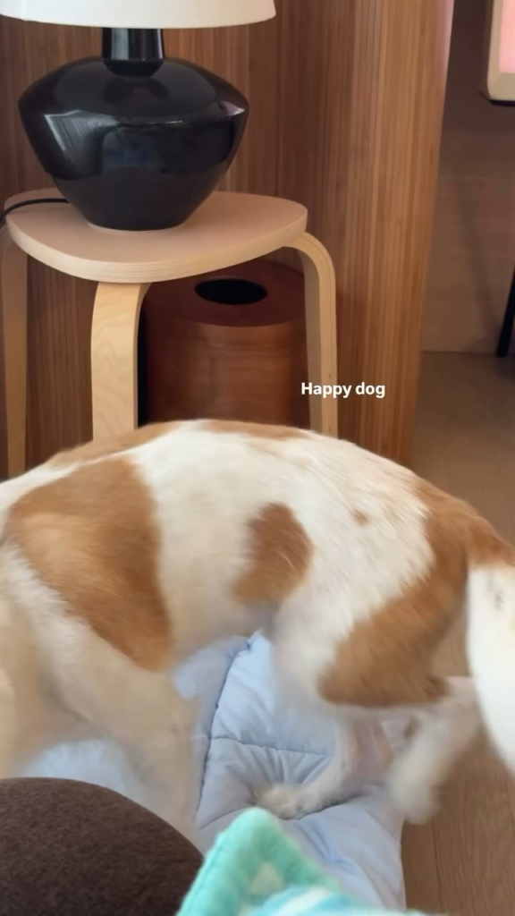 250824 Alice IG Story Update w/ HANK