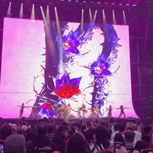 heyalic_e IG Story Update w/ BLACKPINK