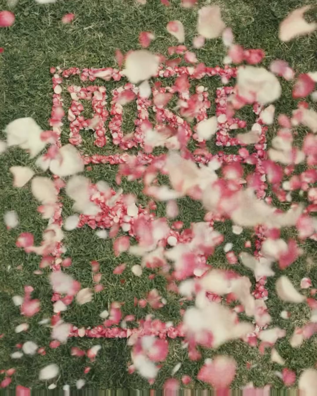 250831 Rosé IG Update