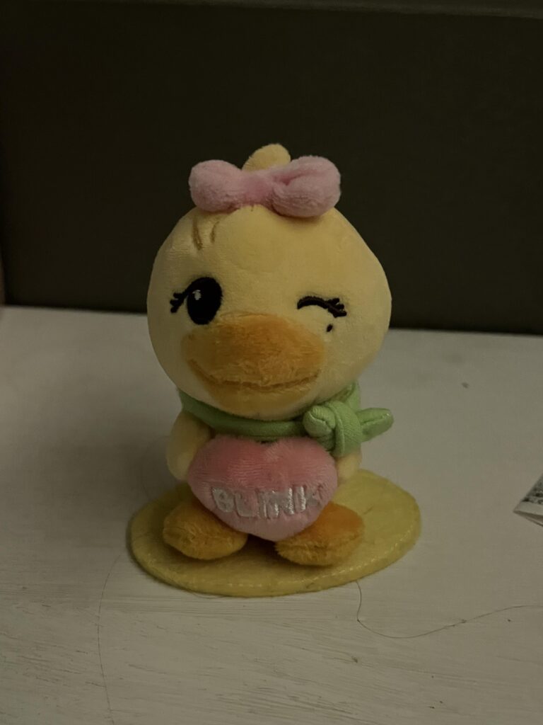 This is one of the cutest things I got in my Korean trip today 😭😭😭😭