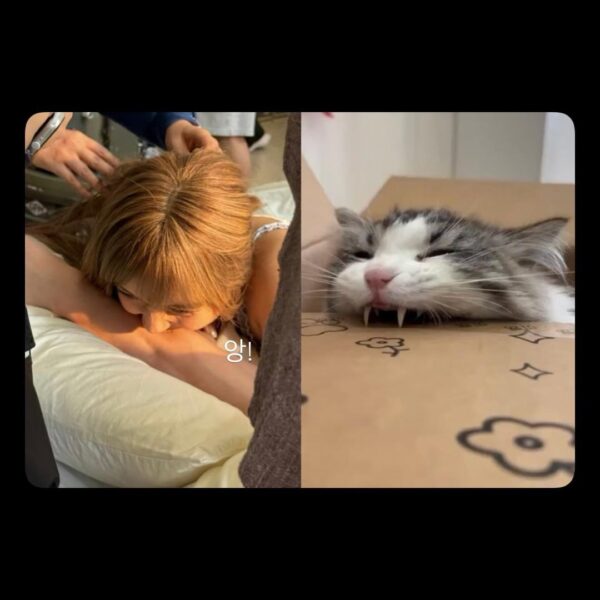 250807 Lisa IG Story Update