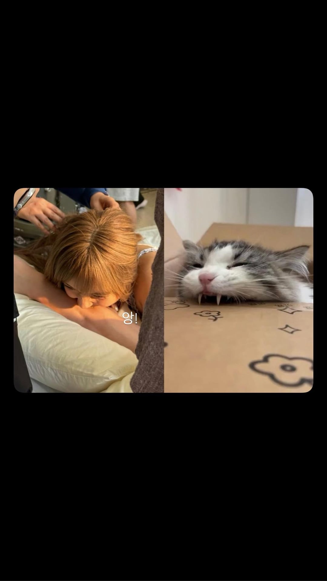 250807 Lisa IG Story Update