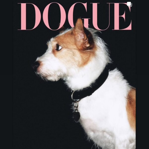 250819 Rosé IG Story Update