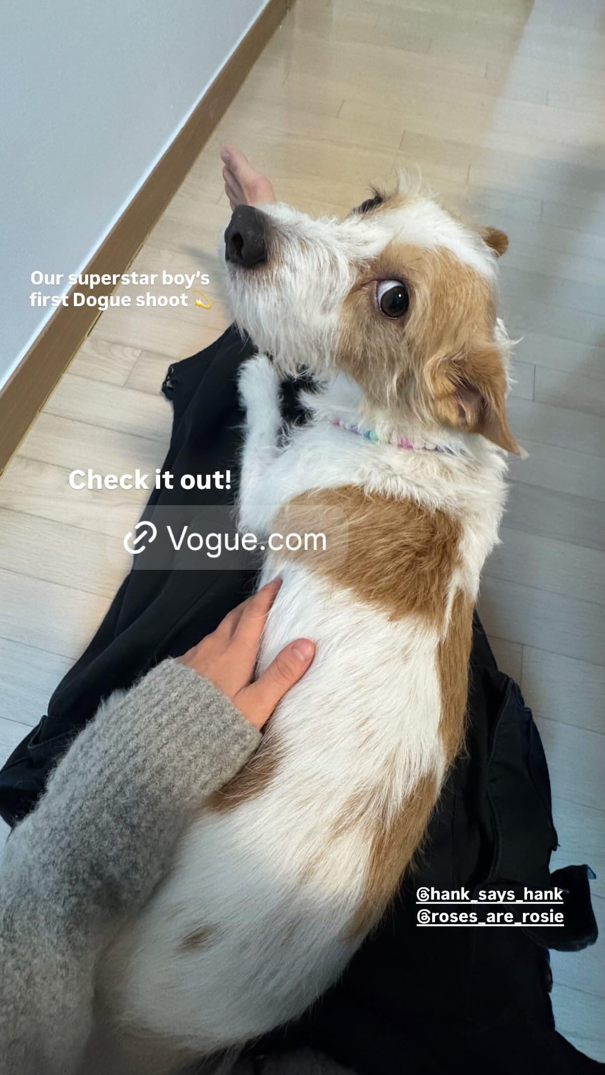 250819 Alice IG Story Update w/HANK