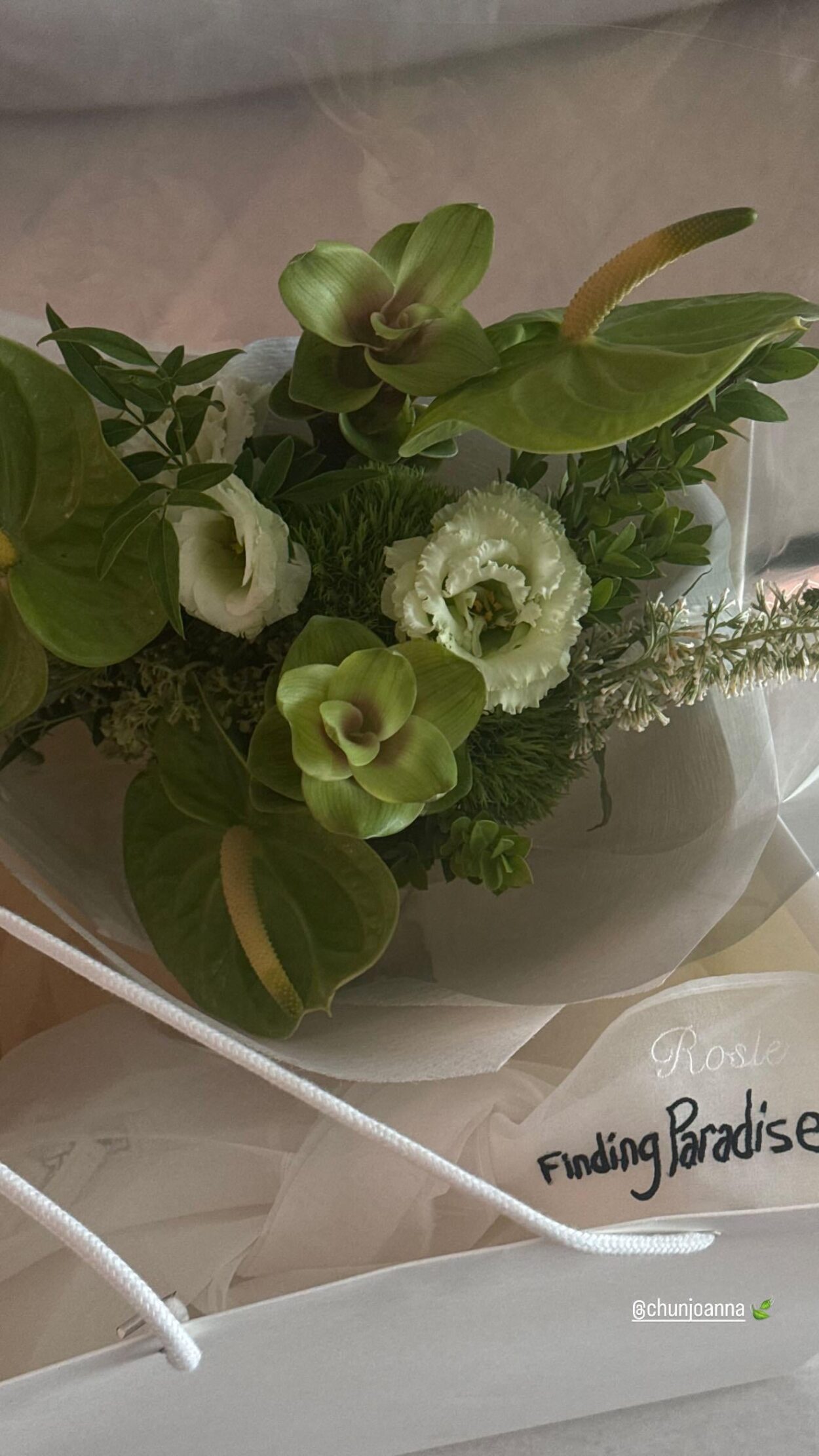 250826 Rosé IG Story Update