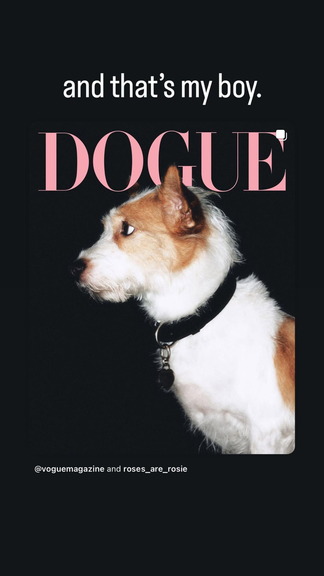 250819 ROSÉ IG Story Update w/ HANK