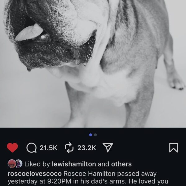 250929 Rosé sends her heartfelt condolences to Lewis Hamilton after the sad passing of his beloved dog, Roscoe