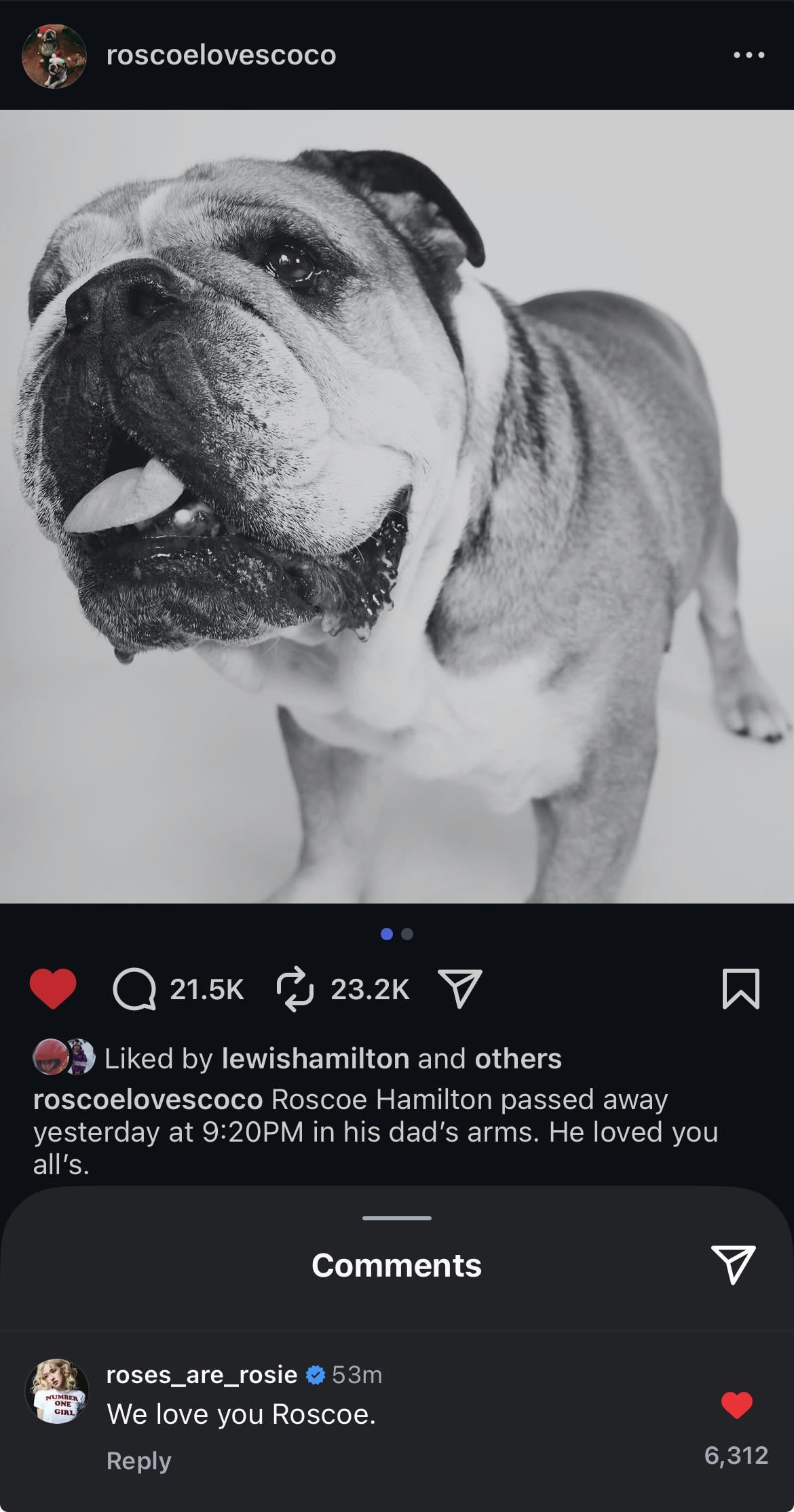 250929 Rosé sends her heartfelt condolences to Lewis Hamilton after the sad passing of his beloved dog, Roscoe