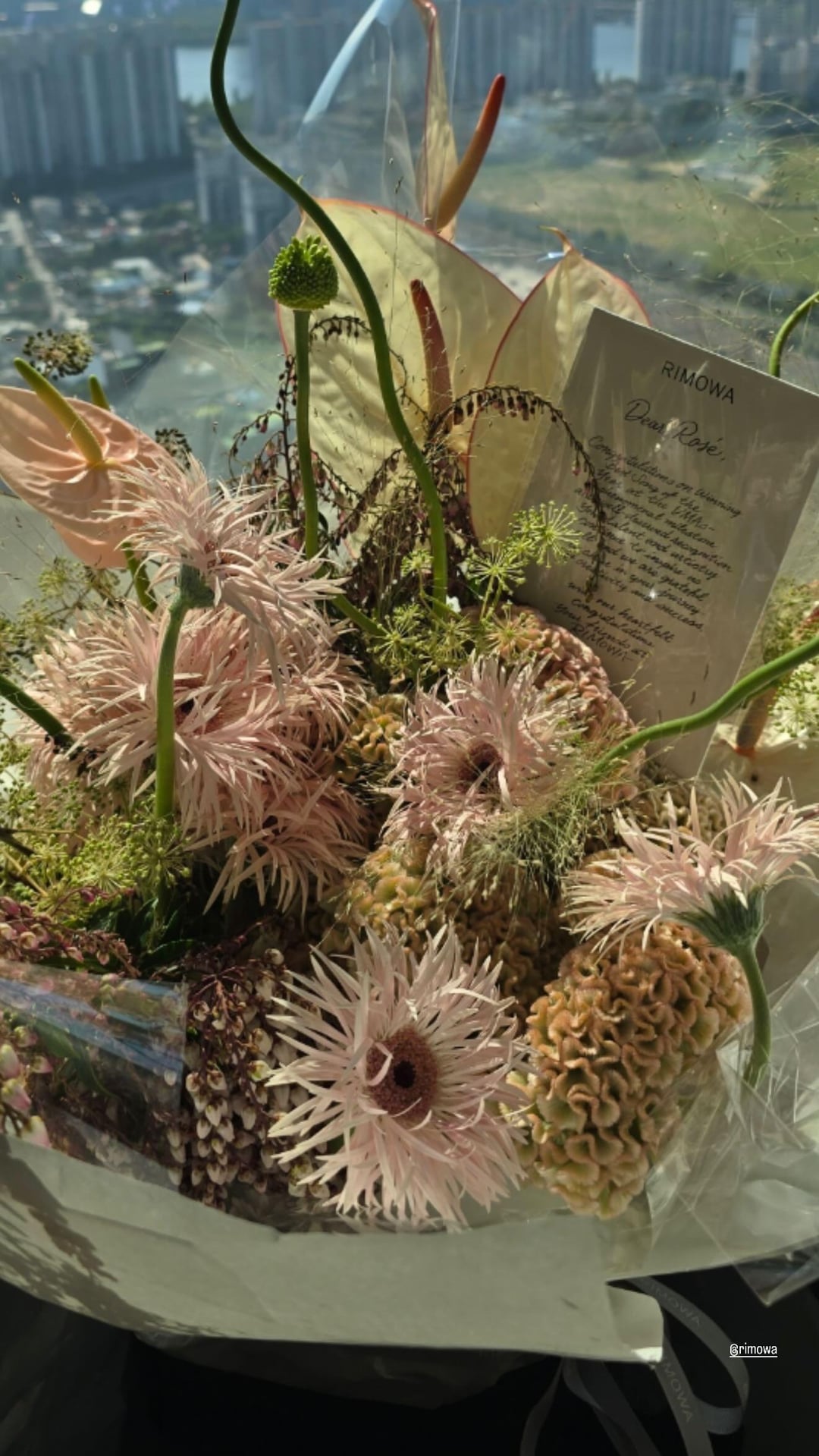 250911 Rosé IG Story Update