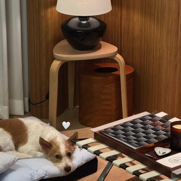 Alice IG Story Update w/ Hank