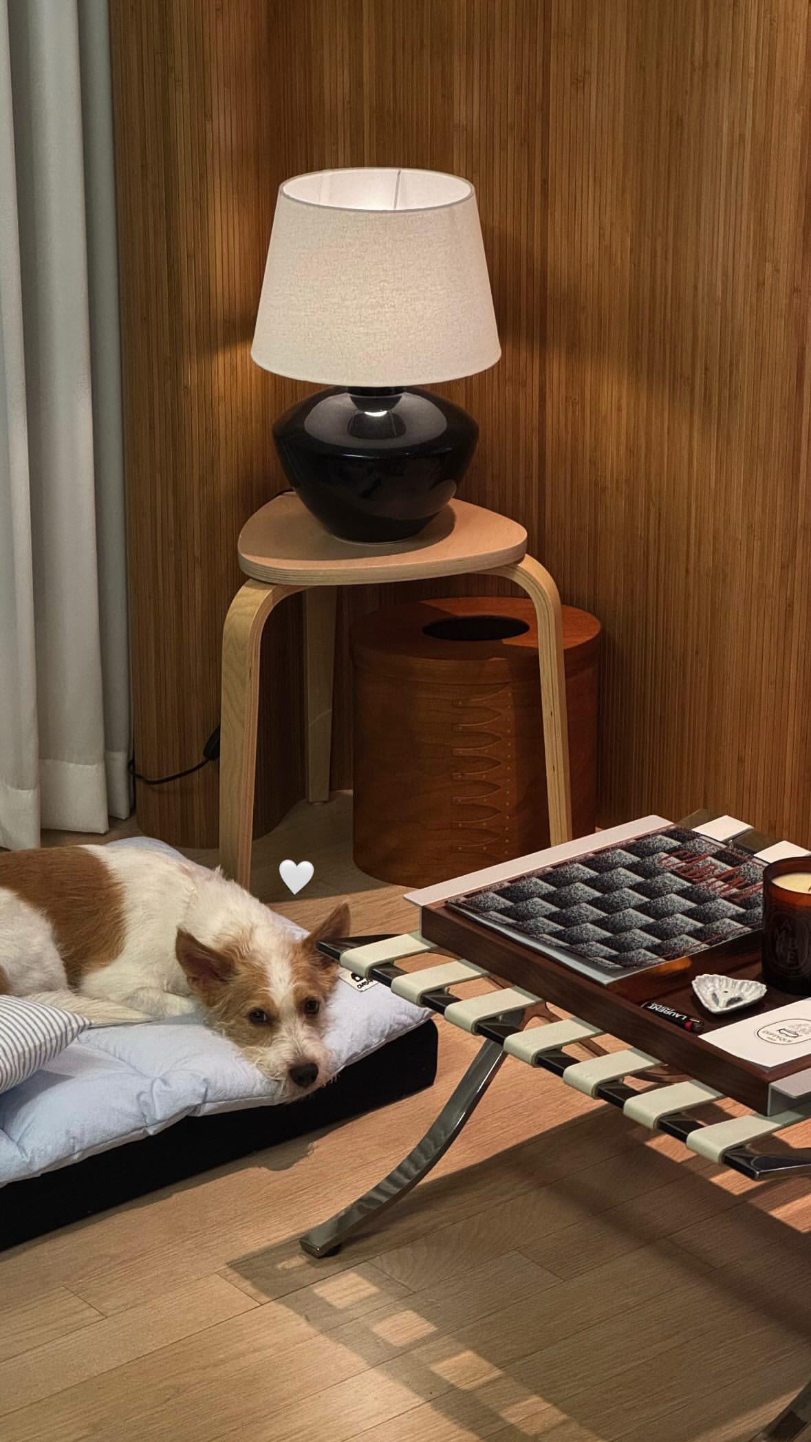 Alice IG Story Update w/ Hank