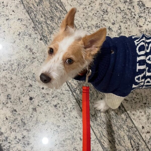 251126 ROSÉ (hank_says_hank) IG Update