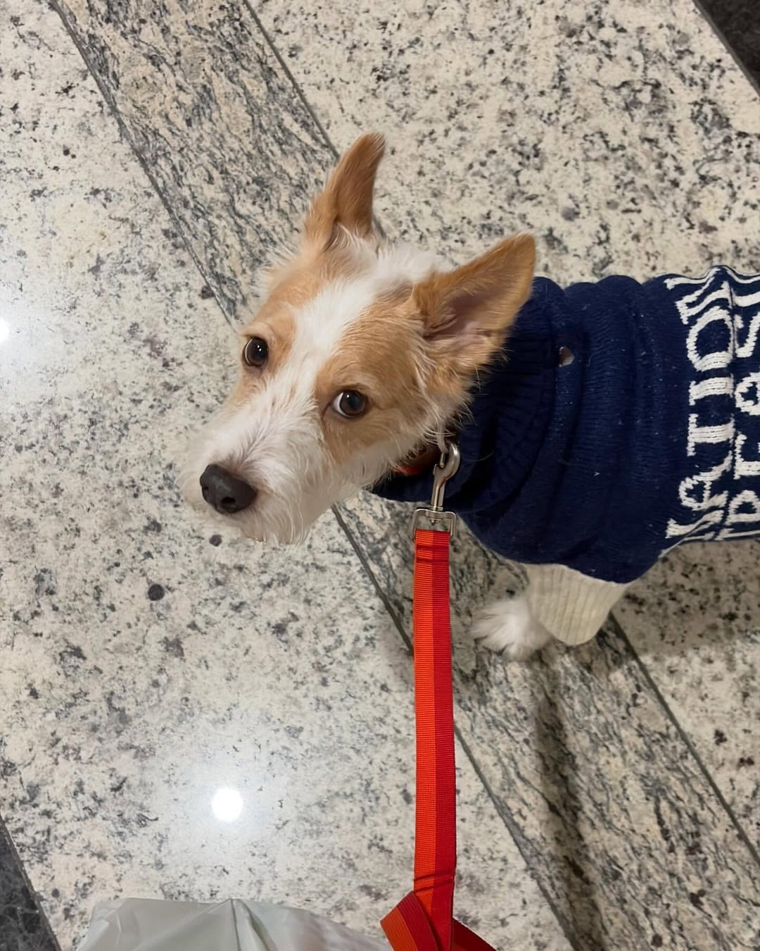 251126 ROSÉ (hank_says_hank) IG Update