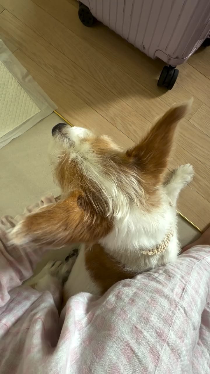 251109 Alice IG Story Update w/ HANK