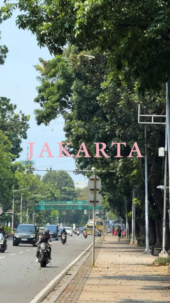251106 BLACKPINK WORLD TOUR [DEADLINE] IN JAKARTA HIGHLIGHT CLIP