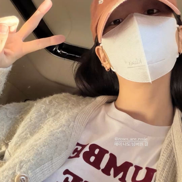 251103 Jisoo IG Story Update