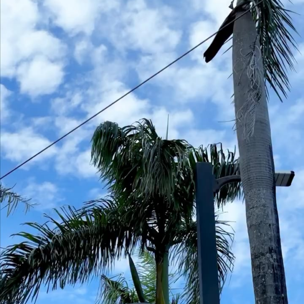 251126 JISOO | BLACKPINK WORLD TOUR [DEADLINE] IN BULACAN HIGHLIGHT CLIP