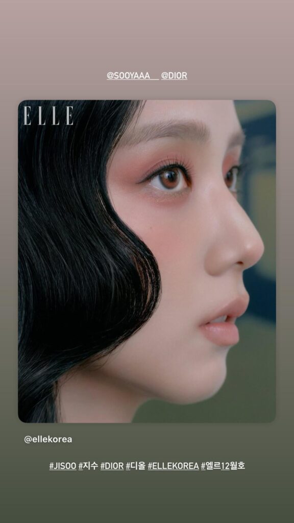 Jisoo (BLISSOO) IG Story Update
