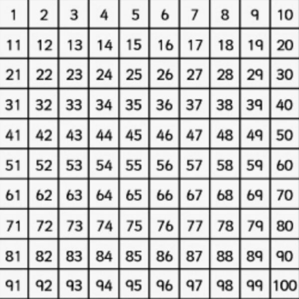 251111 100 days of BLACKPINK!!!