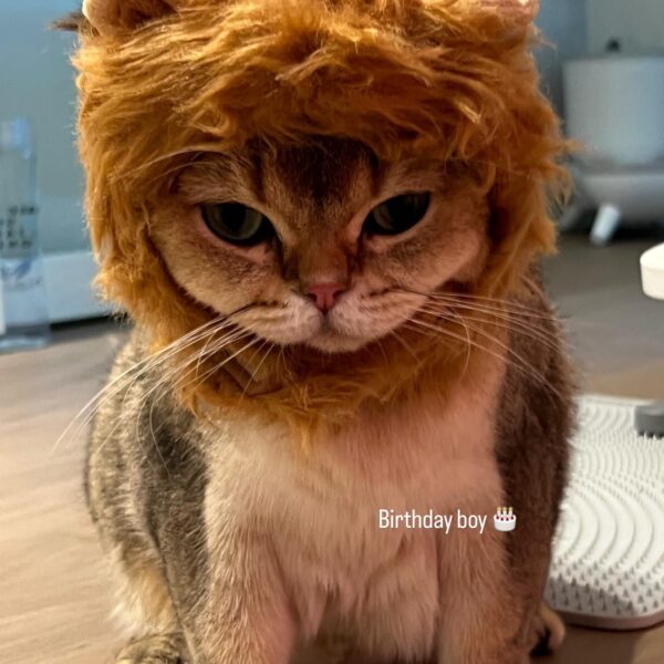 251121 lalala_lfamily IG Story Update