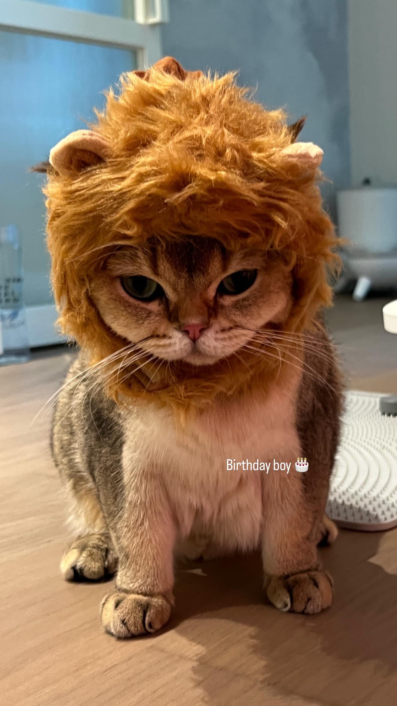 251121 lalala_lfamily IG Story Update