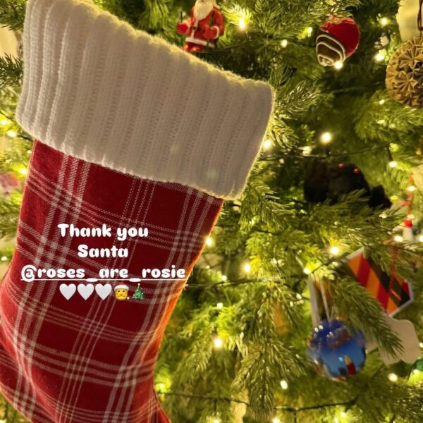 251219 Team Rosé IG Story Update w/ ROSÉ