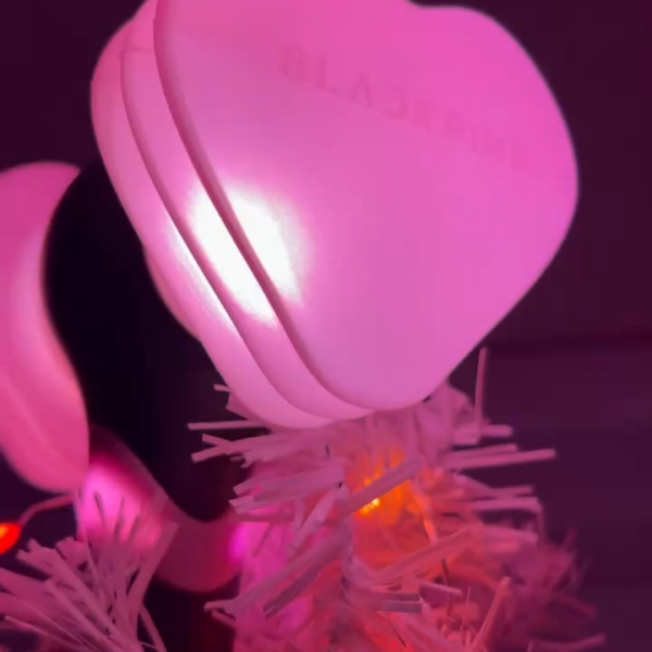 20251201 Who else uses their BP lightstick for the Christmas tree?