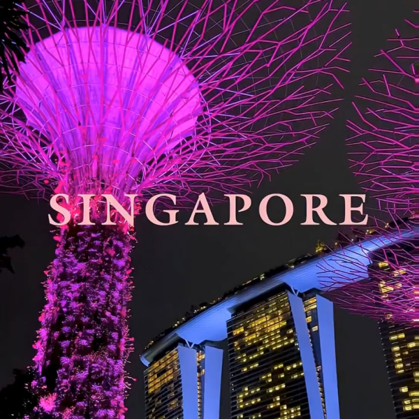 251205 BLACKPINK WORLD TOUR [DEADLINE] IN SINGAPORE HIGHLIGHT CLIP