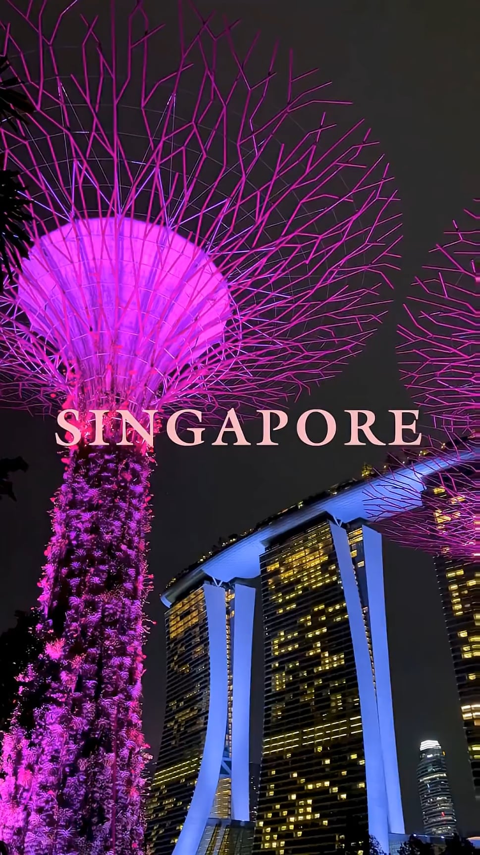 251205 BLACKPINK WORLD TOUR [DEADLINE] IN SINGAPORE HIGHLIGHT CLIP