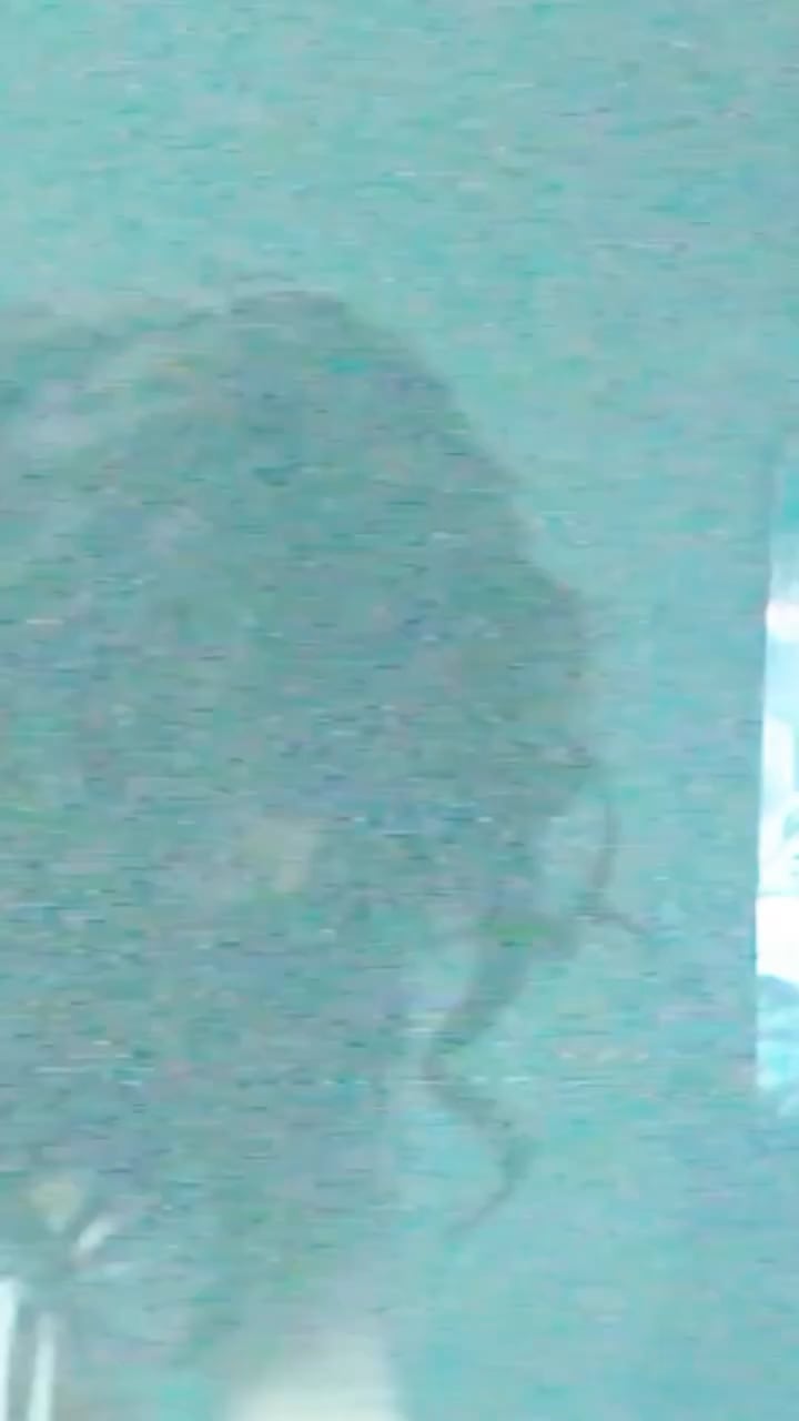 251202 Jennie (ODDATELIER) IG Update